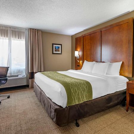 Comfort Inn Romeoville - Bolingbrook Dış mekan fotoğraf